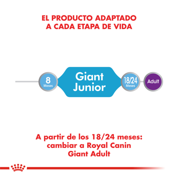 Adaptado Royal Canin Giant Puppy