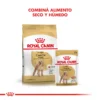 Combina Seco y Humedo Royal Canin Caniche Adulto