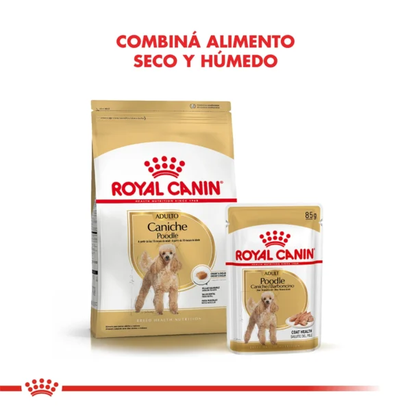 Combina Seco y Humedo Royal Canin Caniche Adulto