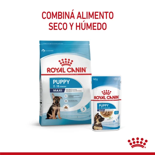 Combina Humedo y Seco Royal Canin Maxi Puppy