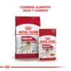 Combina Humedo y Seco Royal Canin Medium Adult