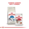 Combina Royal Canin Gatos Indoor