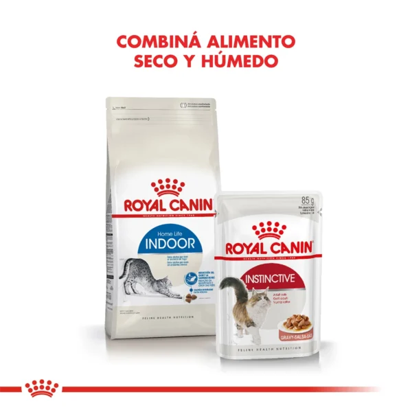 Combina Royal Canin Gatos Indoor