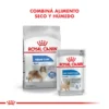 Combina Royal Canin Maxi Weight Care