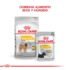 Combina Royal Canin Medium Dermacomfort