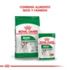 Combina Seco y Humedo Royal Canin Mini Adult