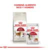 Combina alimento Royal Canin Gato FIT