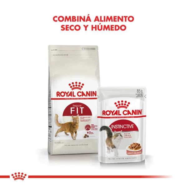 Combina alimento Royal Canin Gato FIT