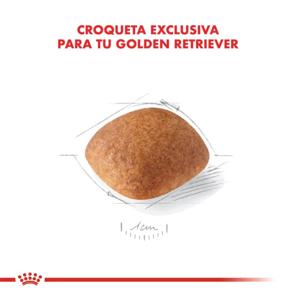 Corqueta Royal Canin Golden Retriever Adulto