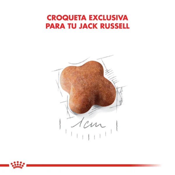 Corqueta Royal Canin Jack Russell Puppy