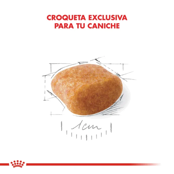Corquetas Royal Canin Caniche Adulto