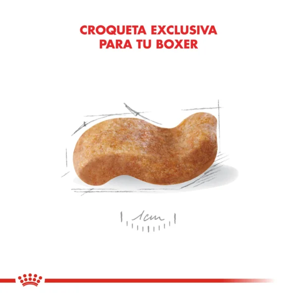 Croqueta Royal Canin Boxer Adulto