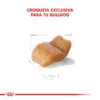 Croqueta Royal Canin Bulldog Adulto