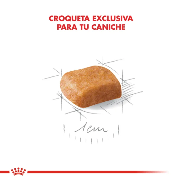 Croqueta Royal Canin Caniche Puppy