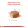 Croqueta Royal Canin Dachshund (Salchicha)
