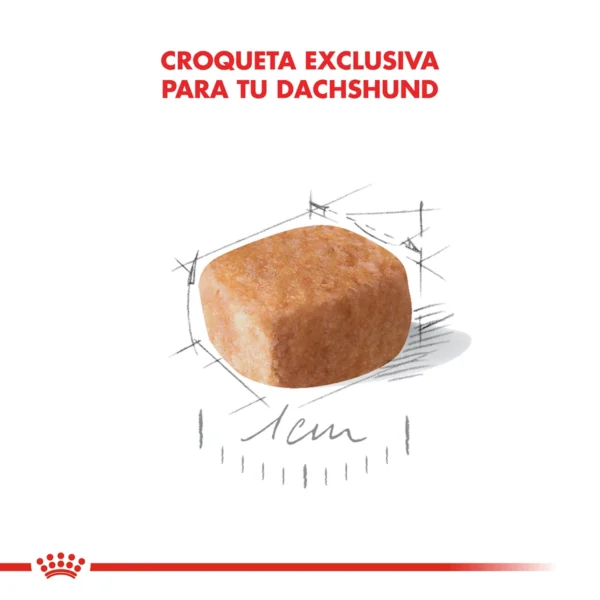 Croqueta Royal Canin Dachshund (Salchicha)