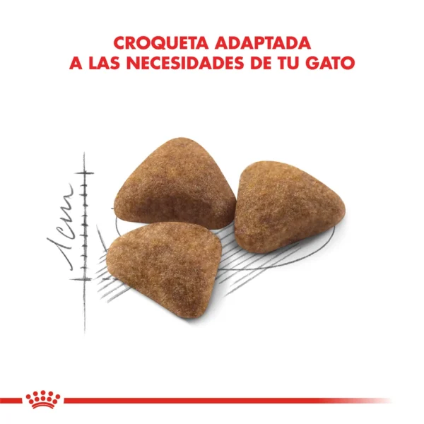 Croqueta Royal Canin Gatos Indoor