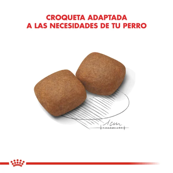 Croqueta Royal Canin Giant Puppy