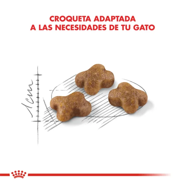 Croqueta Royal Canin Kitten