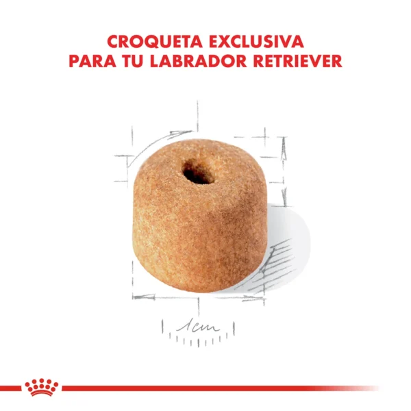 Croqueta Royal Canin Labrador Retriever Adulto