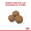 Croqueta Royal Canin Maxi Puppy