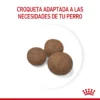 Croquetas Royal Canin Medium Puppy
