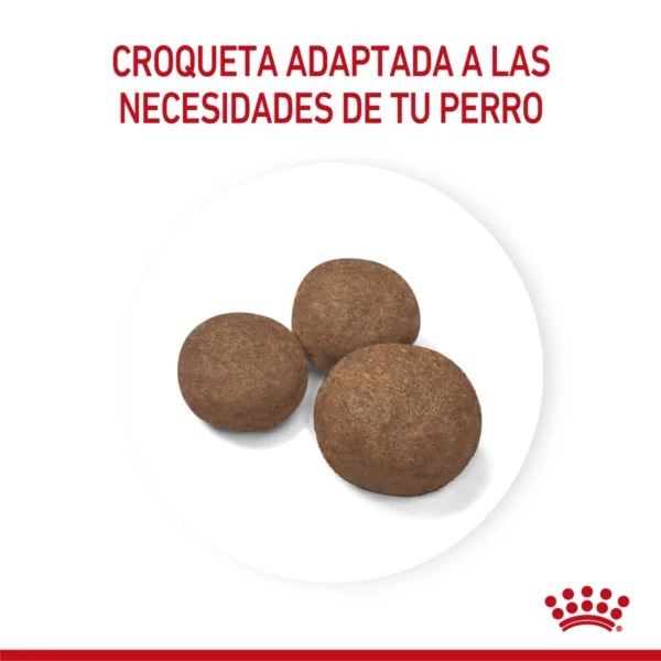 Croquetas Royal Canin Medium Puppy