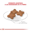 Croqueta Royal Canin Mini Adult