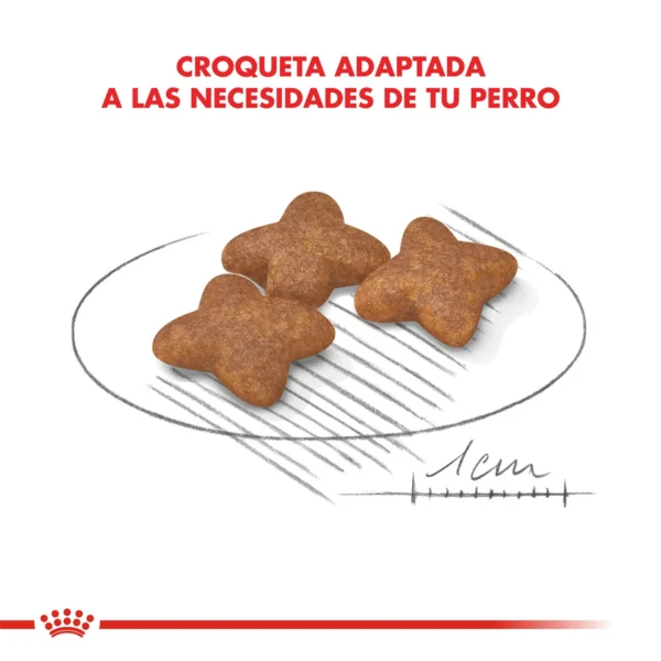 Croqueta Royal Canin Mini Adult