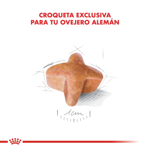 Croqueta Royal Canin Ovejero Aleman Adulto