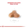 Alimento Royal Canin para Pug Adulto 7.5 Kilos