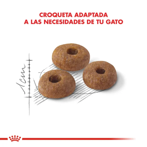 Croquetas Royal Canin Gato FIT