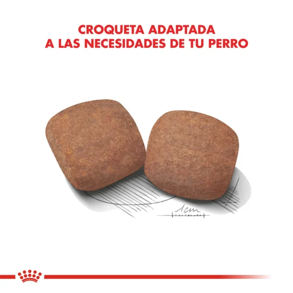 Croquetas Royal Canin Giant Adult