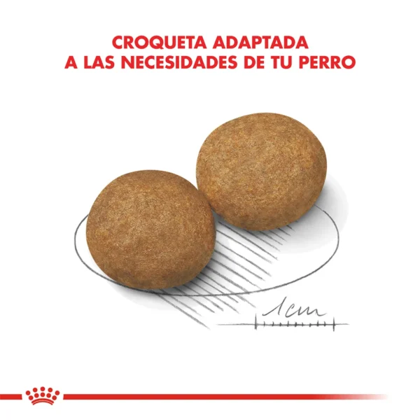 Croquetas Royal Canin Medium Adult