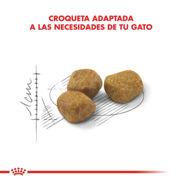 Croquetas Royan Canin Gatos Indoor 7+