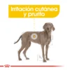 Cuidado de la Piel Royal Canin Maxi Dermacomfort