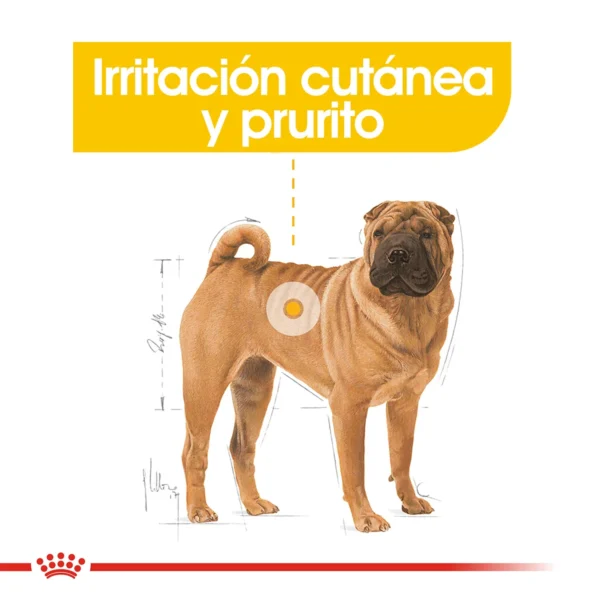 Irritacion y cuidado de la piel Royal Canin Medium Dermacomfort