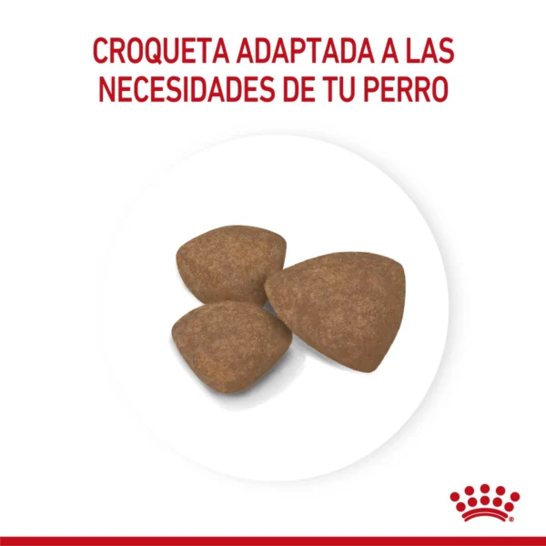 mordida Royal Canin Puppy Mini