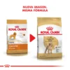 Nueva Imagen Royal Canin Caniche Adulto