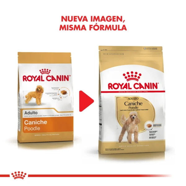 Nueva Imagen Royal Canin Caniche Adulto