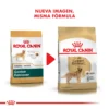 Nueva Imagen Royal Canin Golden Retriever Adulto
