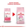 Nueva Imagen Royal Canin Kitten