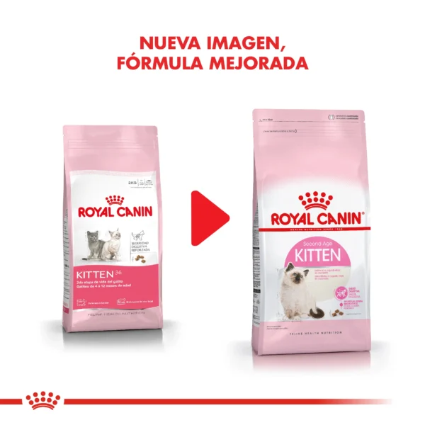 Nueva Imagen Royal Canin Kitten