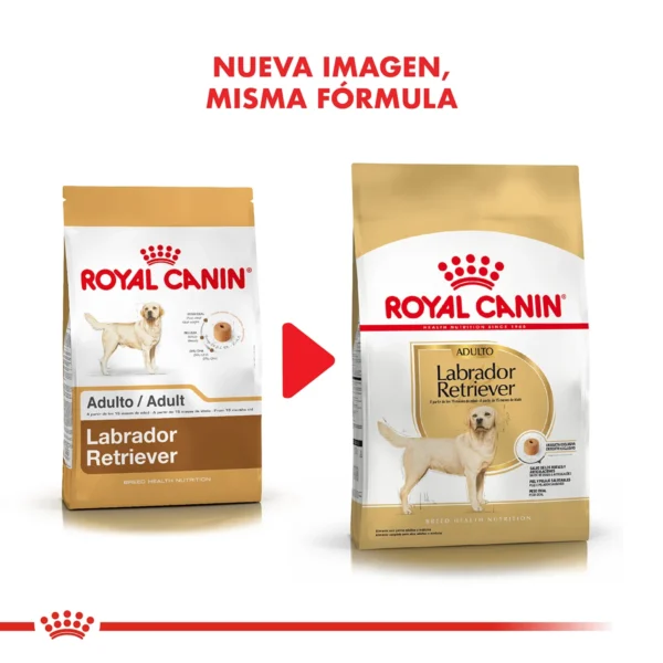 Nueva Imagen Royal Canin Labrador Retriever Adulto