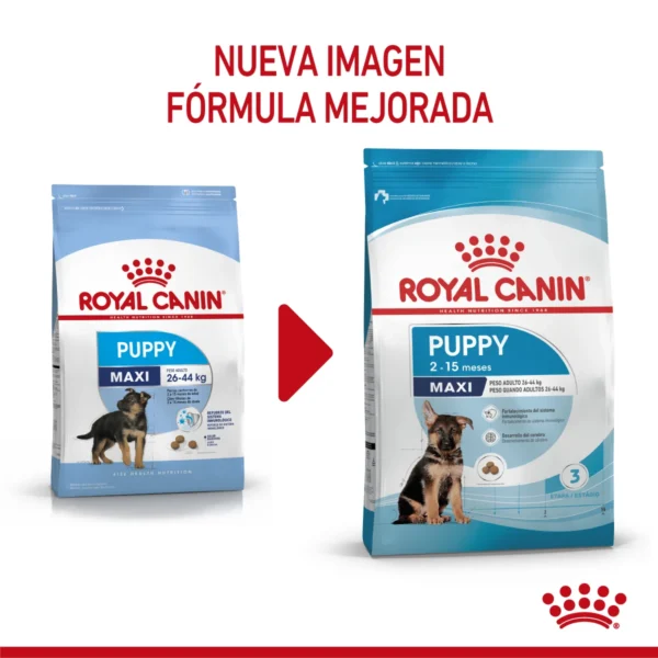 Producto Adaptado Royal Canin Maxi Puppy