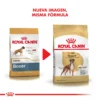 Nueva imagen Royal Canin Boxer Adulto