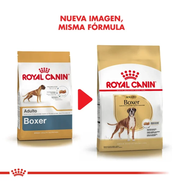 Nueva imagen Royal Canin Boxer Adulto