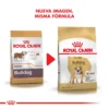 Nueva imagen Royal Canin Bulldog Adulto