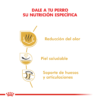 Nutricion Royal Canin Bulldog Adulto