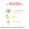 Nutricion Royal Canin Caniche Puppy